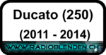 Ducato (250)